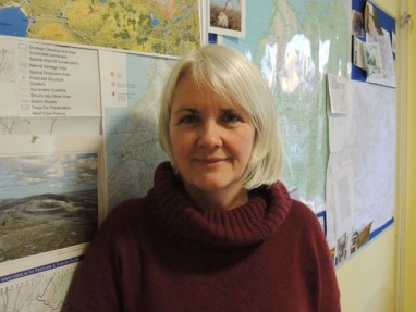 Carol-Gleeson_Web