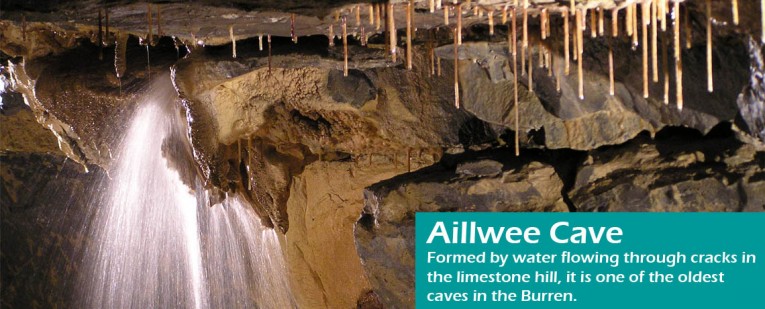 Aillwee Cave copy