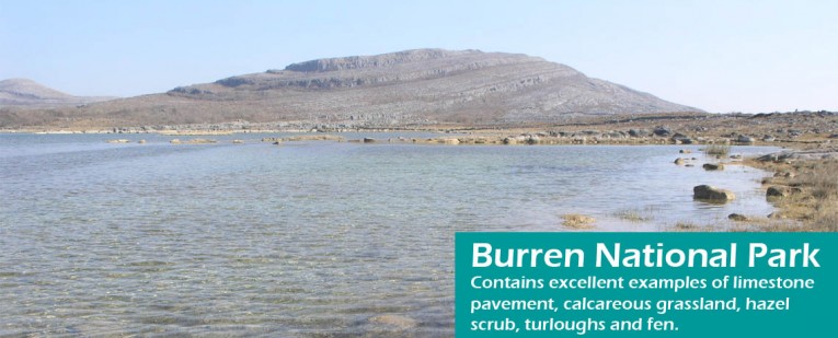 Burren National Park copy