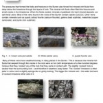 Geology-Sheet-14-Veins-Minerals