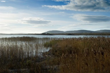 Boston in County Clare