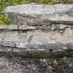 Chert seen in the Burren