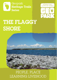 Flaggy Shore cover