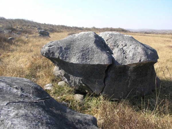 Mushroom-Stone