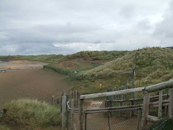 Sand-Dune-Complex