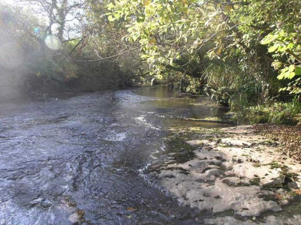 Water-flowing-over-the-Clare-shales