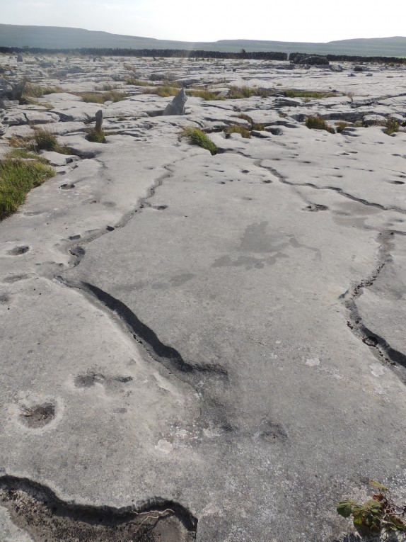 sliabhcarranpavement1