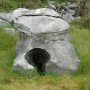 A mushroom stone