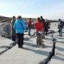 Geology students on the field trip