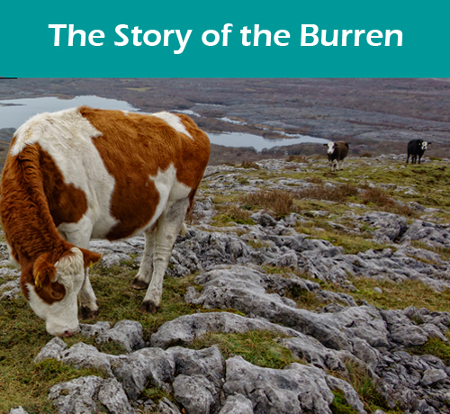 The Story of the Burren