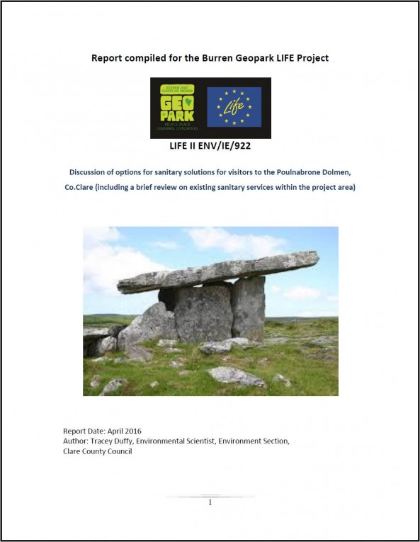 poulnabrone-sanitary-solutions-report