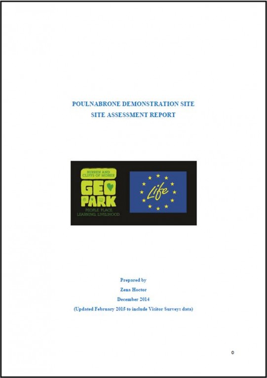 Poulnabrone Site Assessment Report