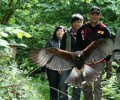 Hawk Walk at Aillwee Cave