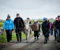 Seaweed Foraging Walk