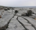 Glacial erratics and Limestone Pavement at Murrooghtoohy