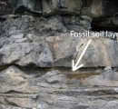 fossil soil layer