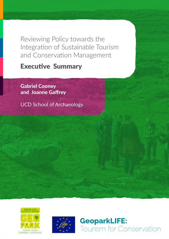 Policy review executive summary
