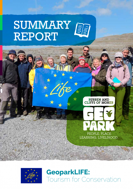 Project Summary Report