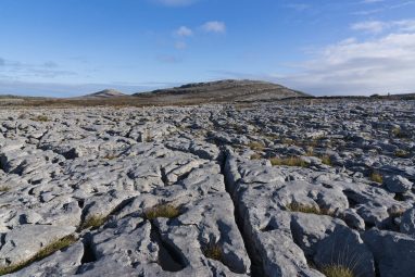 The Limestone Fissures in the Burren