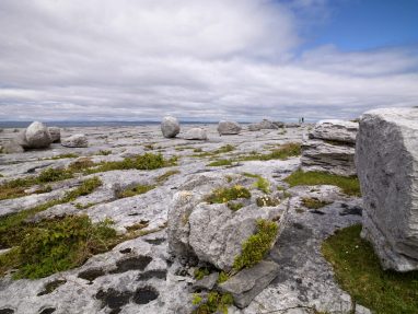 The Story of the Burren - Bright Limestone formed at the equator