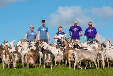 St. Tola Cheese Farm Staff with Goats