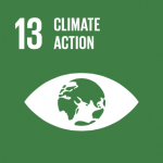 13. Climate Action
