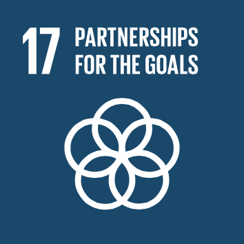 17. Partnerships for the Goals