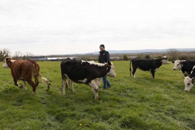 Burren Farm Experience - GEOfood