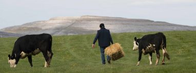 Burren Farm Experience - GEOfood