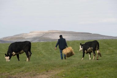 Burren Farm Experience - GEOfood