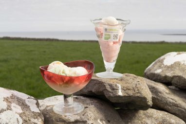 Linnalla Pure Irish Ice Cream