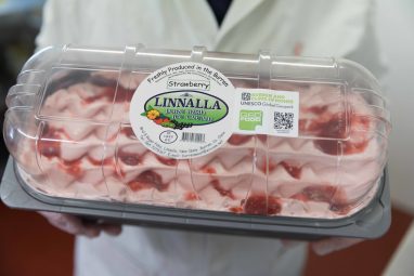 Linnalla Pure Irish Ice Cream