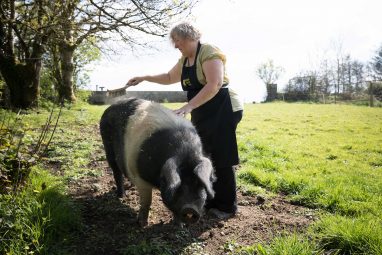 Burren Free Range Pork - GEOfood