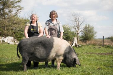 Burren Free Range Pork - GEOfood