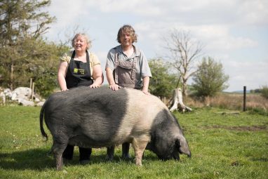 Burren Free Range Pork - GEOfood