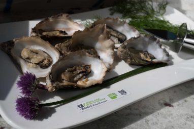 Burren Smokehouse - Smoked Oysters - GEOfood