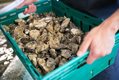 Flaggy Shore Oysters - GEOfood