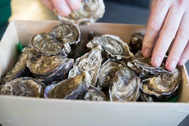 Flaggy Shore Oysters - GEOfood