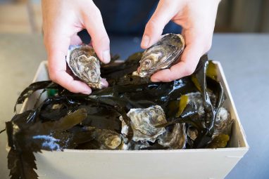 Flaggy Shore Oysters - GEOfood