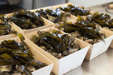 Flaggy Shore Oysters - GEOfood