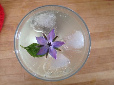 Wild Kitchen - Elderflower Fizz - GEOfood