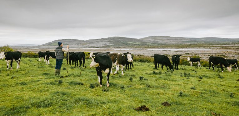 Burren Premium Beef