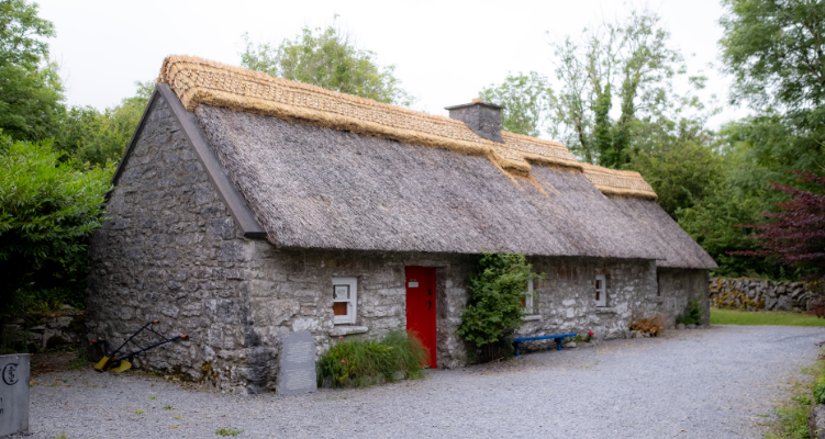 Michael Cusack Centre