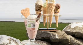 Linnalla Pure Irish Ice Cream